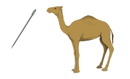 Верблюды млекопитающие