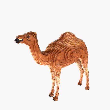 Одногорбый верблюд на белом фоне