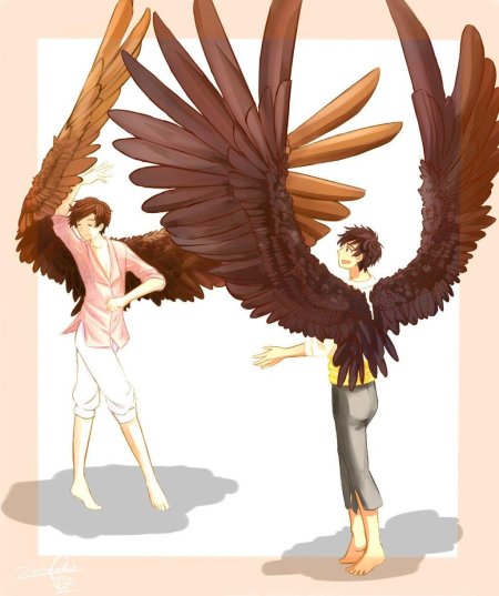 Хеталия wingtalia