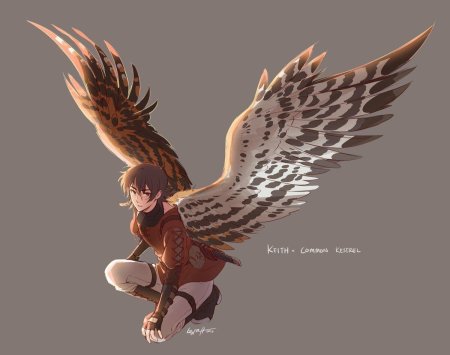 Получеловек полуптица аниме