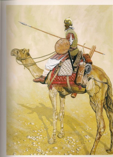 Дромедарии конница