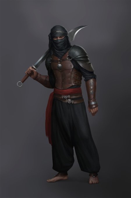 Ассасины сарацины