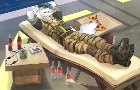 Фурри милитари арт