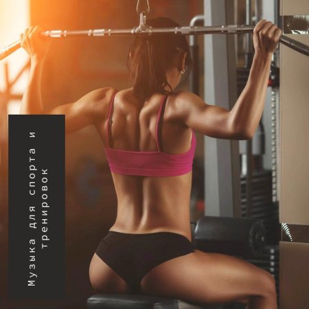 Спортивные девушки