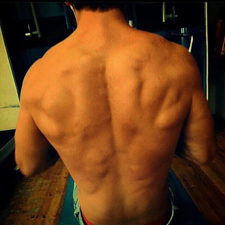 Накаченная спина мужская