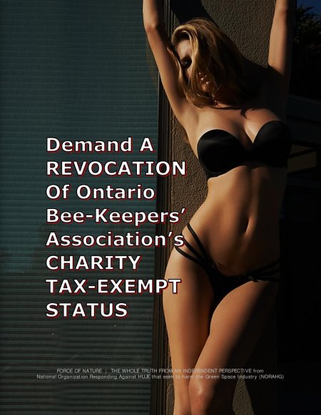 Красивая фигура