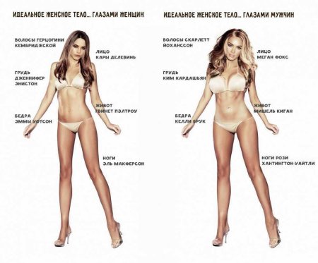 Идеальные формы по мнению мужчин