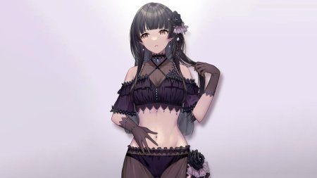 Anime lingerie панцу