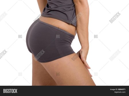 Muscles of pelvis Hip and buttock HD