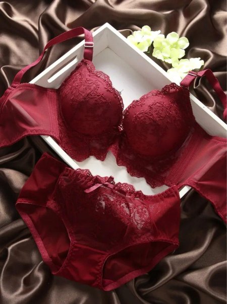 Kisneicoo 21895 комплект Нижнего белья бордо