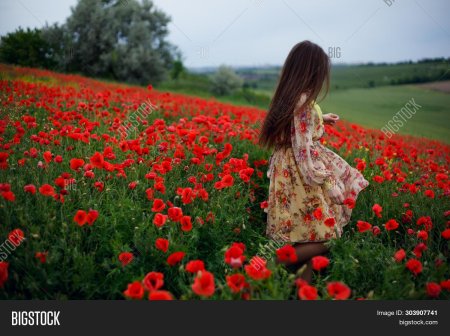 Фотосессия в маковом поле