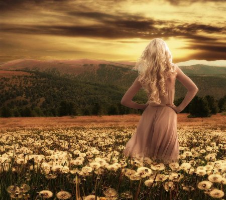 Девушка в цветочном поле