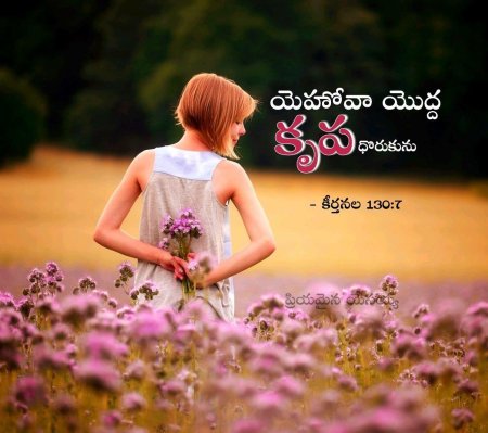 Девушка в поле