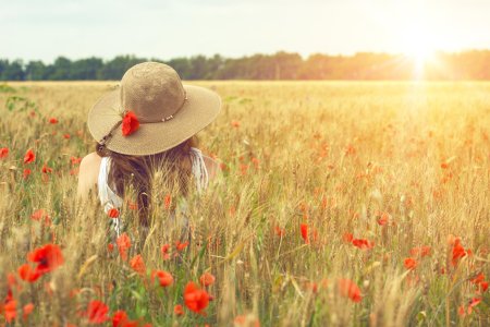 Дарья Куцаева Маковое поле