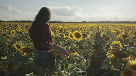 Девушка в подсолнухах