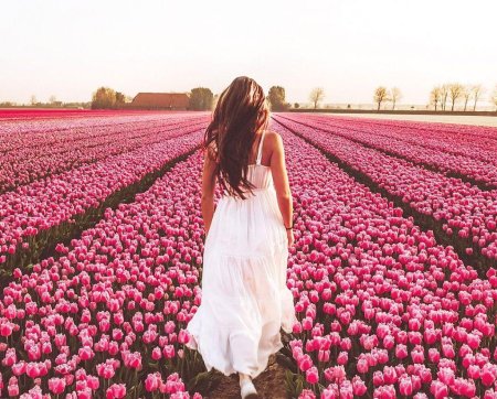 Девушка в поле