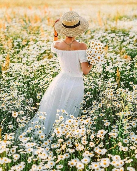 Поле ромашек