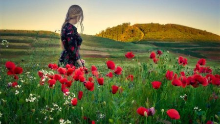 Маковое поле фильм 2020