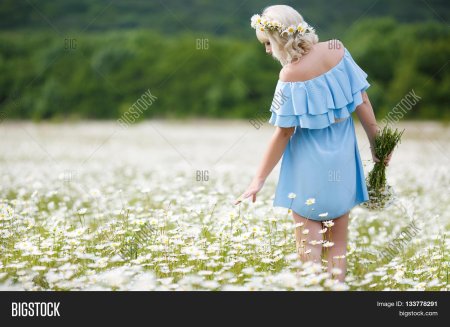 Девушка с ромашками