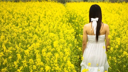 Девушка в цветочном поле
