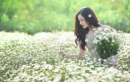 Девушка в цветочном поле