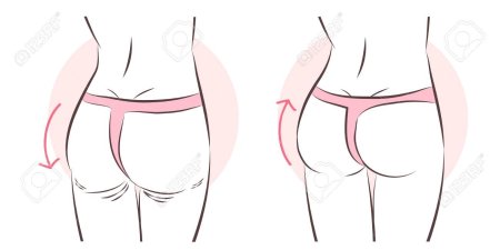 Попа рисунок