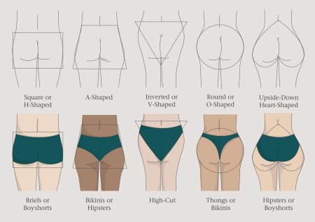 Форма женских ягодиц