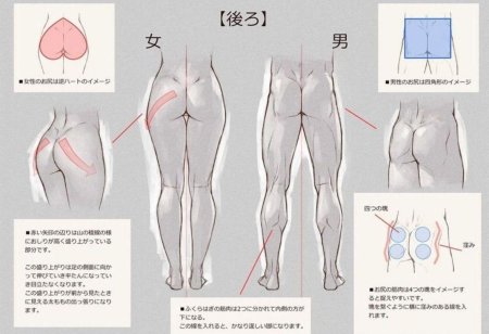 Ягодичная складка