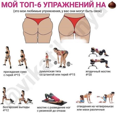 Бразильская попка упражнения