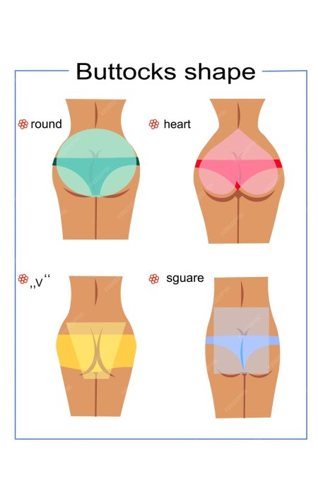 Формы женских ягодиц