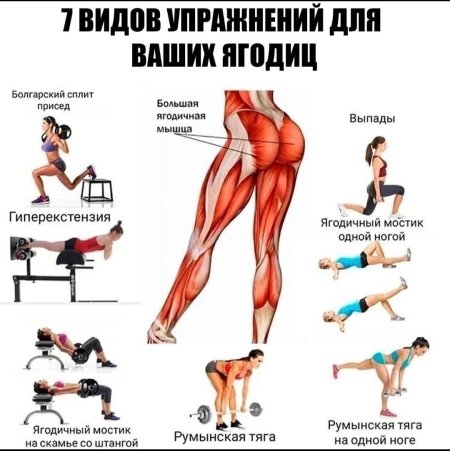 Упражнения на среднюю ягодичную мышцу в тренажерном зале