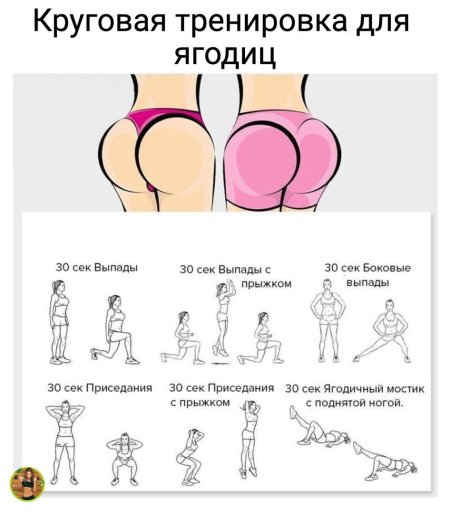 Женские упражнения на ягодицы