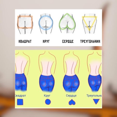 Формы ягодиц