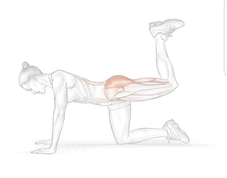 Упражнение для накачивания четырехглавой мышцы бедра