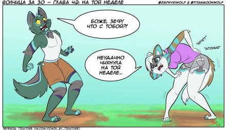 Фурри енот девушка