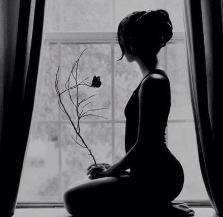 Женский силуэт в окне