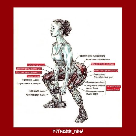 Приседания плие с гантелью между ног