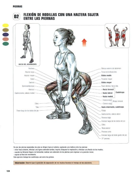 Приседания анатомия силовых упражнений