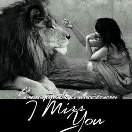 Девушка целует льва