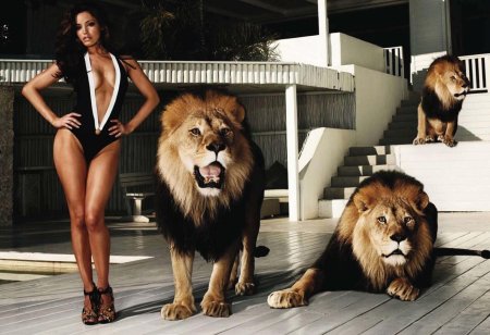Фотосессия со львом