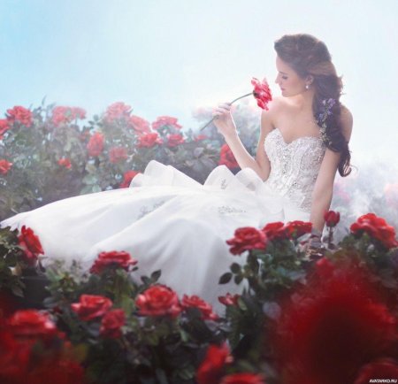 Спокойная бесстрастная девушка розы