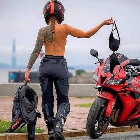 Попка на мотоцикле