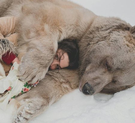 Медведь обнимает