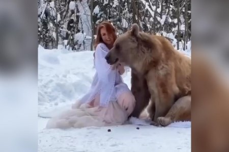 Фотосессия с медведем