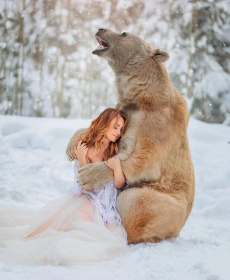 Медведь степан