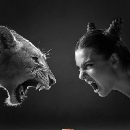 Оскал львицы