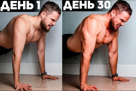 СТО отжиманий в день
