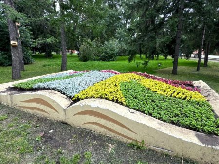 Самарский парк победы клумбы