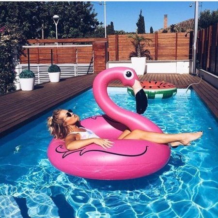 Круг Фламинго