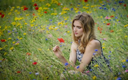 Девушка на цветущем лугу